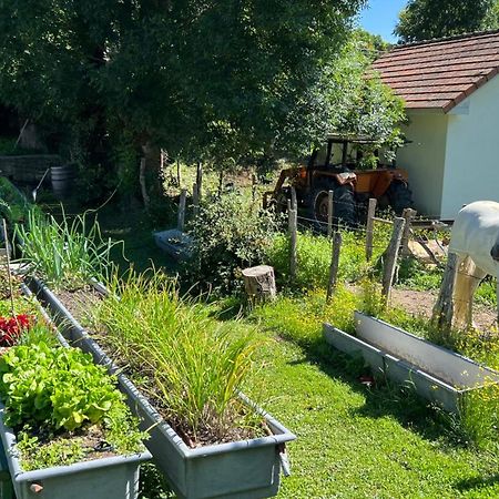 Hotel Rural Basque Irati Espinal-Auzperri ภายนอก รูปภาพ