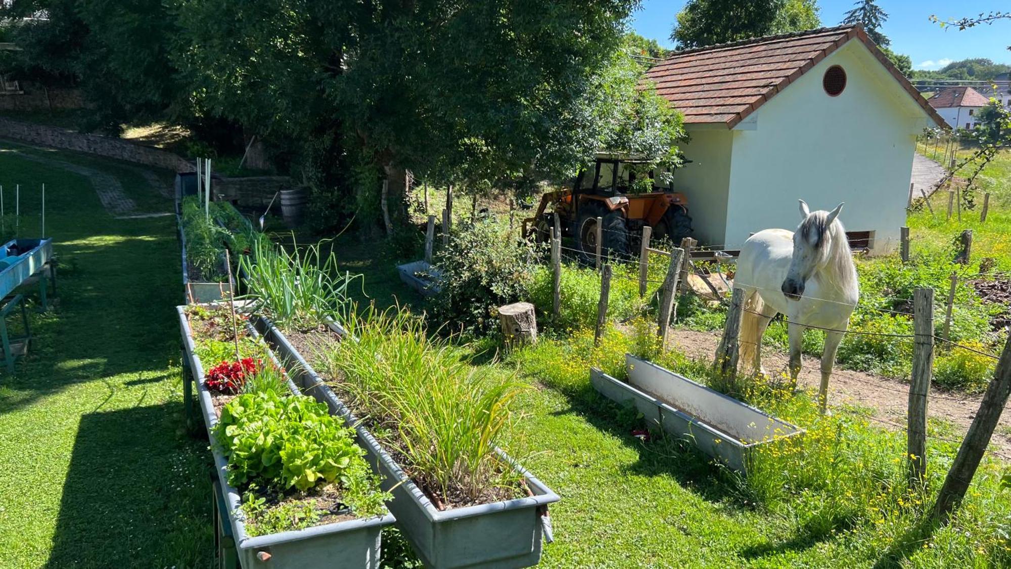 Hotel Rural Basque Irati Espinal-Auzperri ภายนอก รูปภาพ